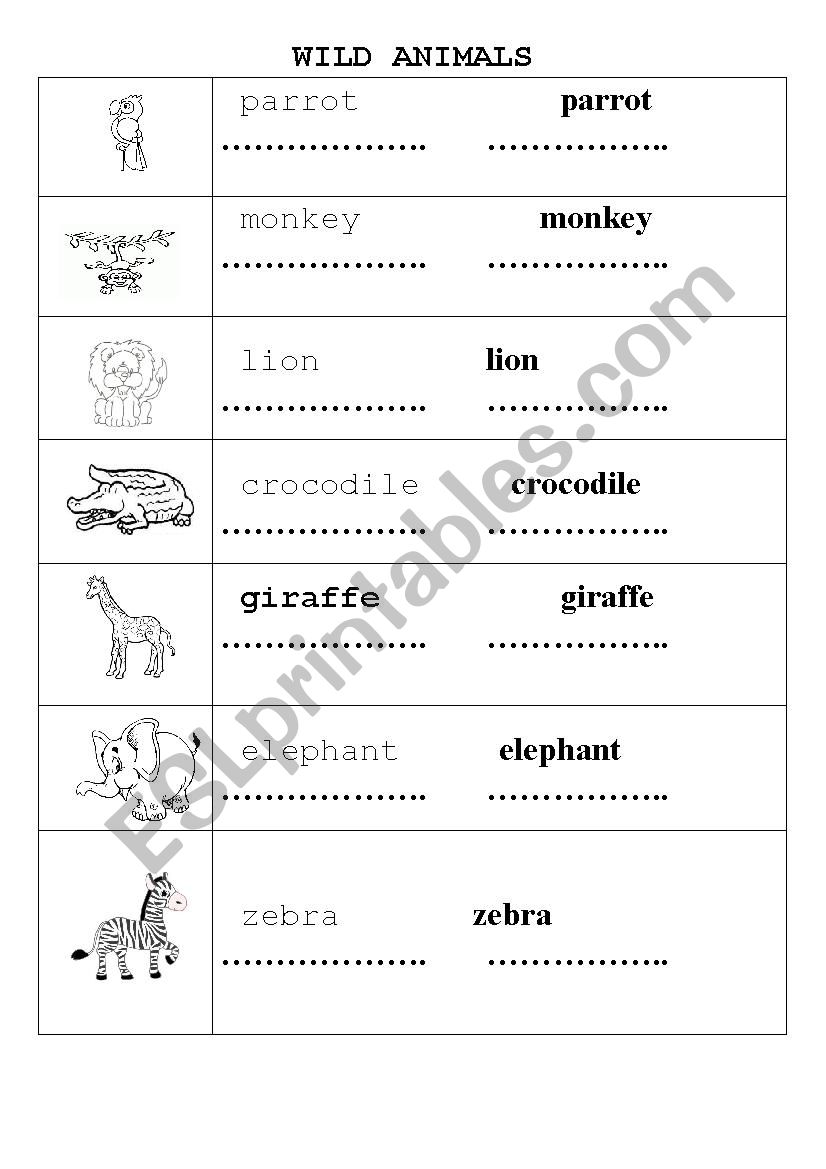 WILD ANIMALS worksheet