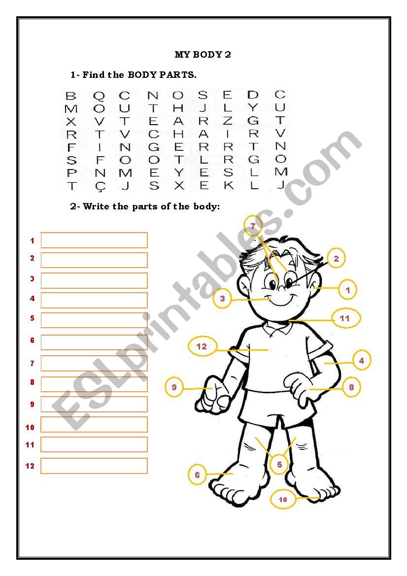 My Body worksheet