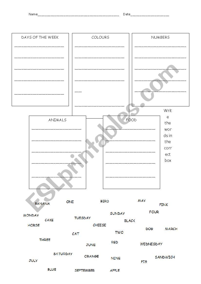 Vocabulary  worksheet