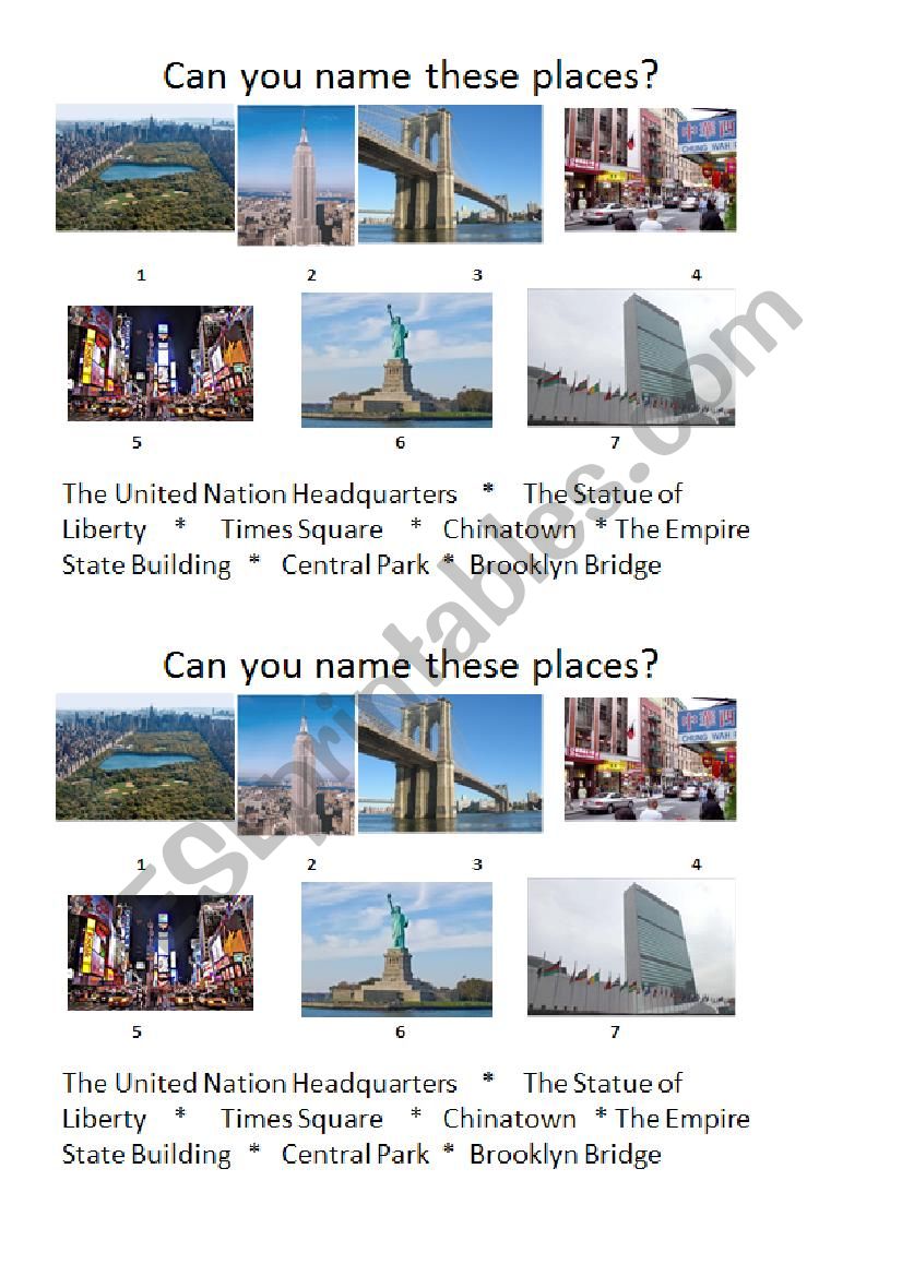 New York Picture Dictionary worksheet