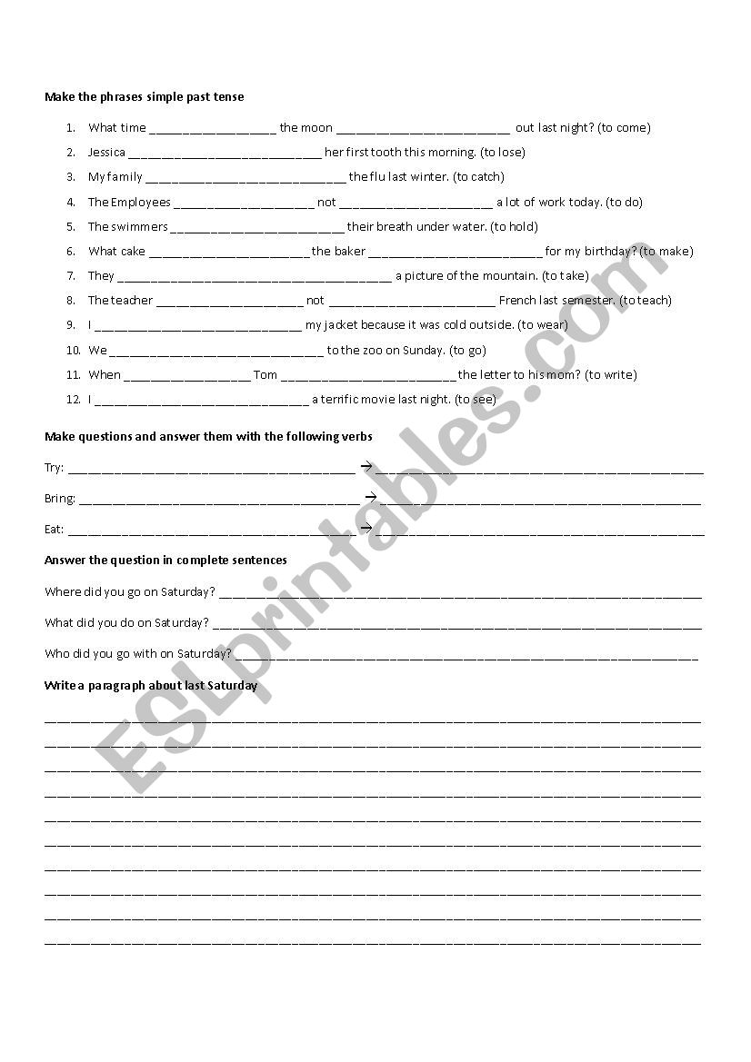 Simple Past Tense Practice worksheet