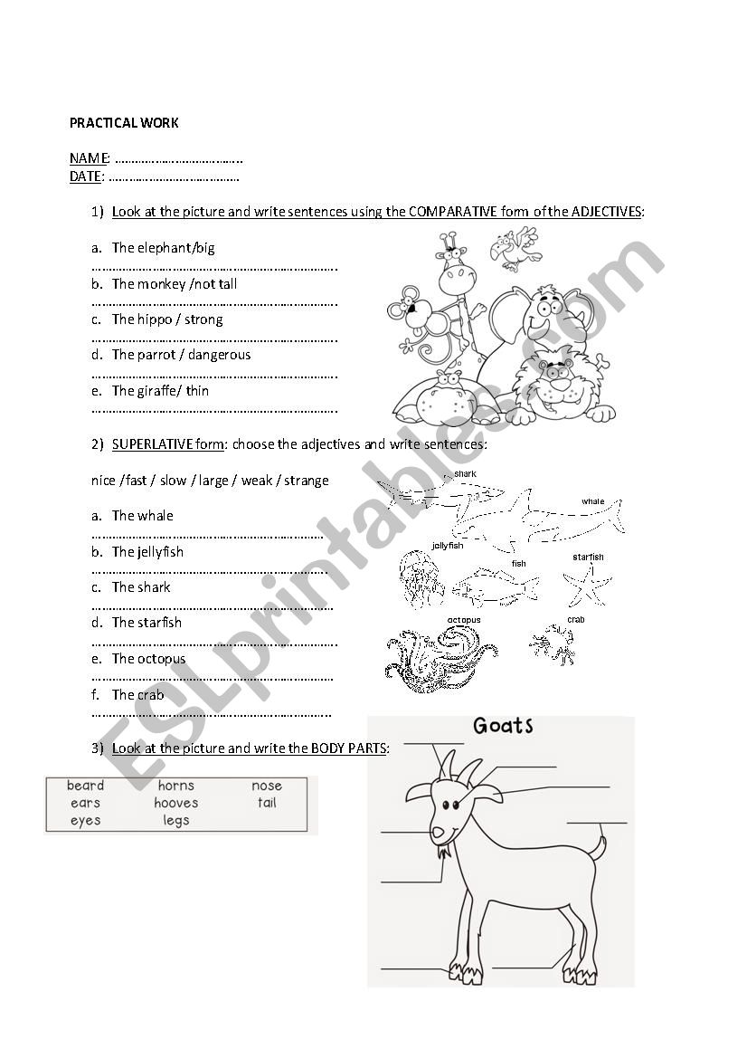 comparatives, superlatives and bodys parts