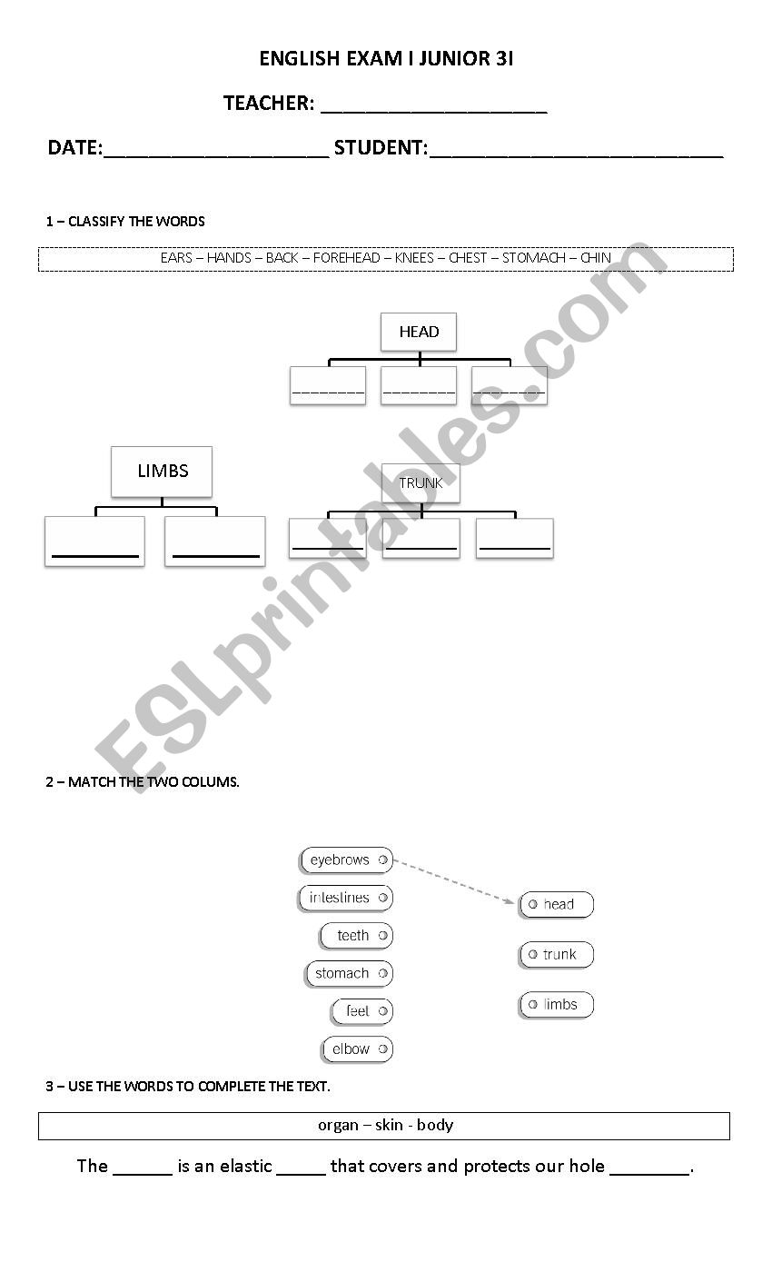 Junior 3 - Science exam worksheet