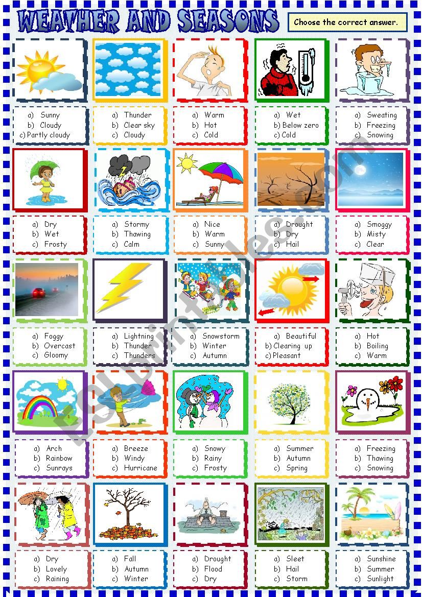 Weather and seasons: multiple choice activity