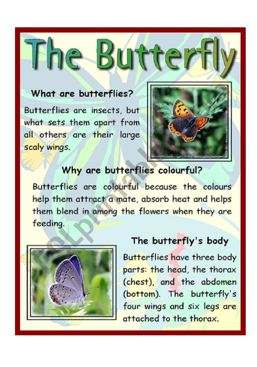 The Butterfly worksheet