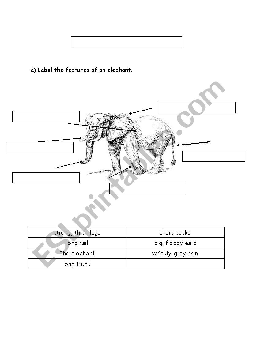 Animal description (Elephant) worksheet