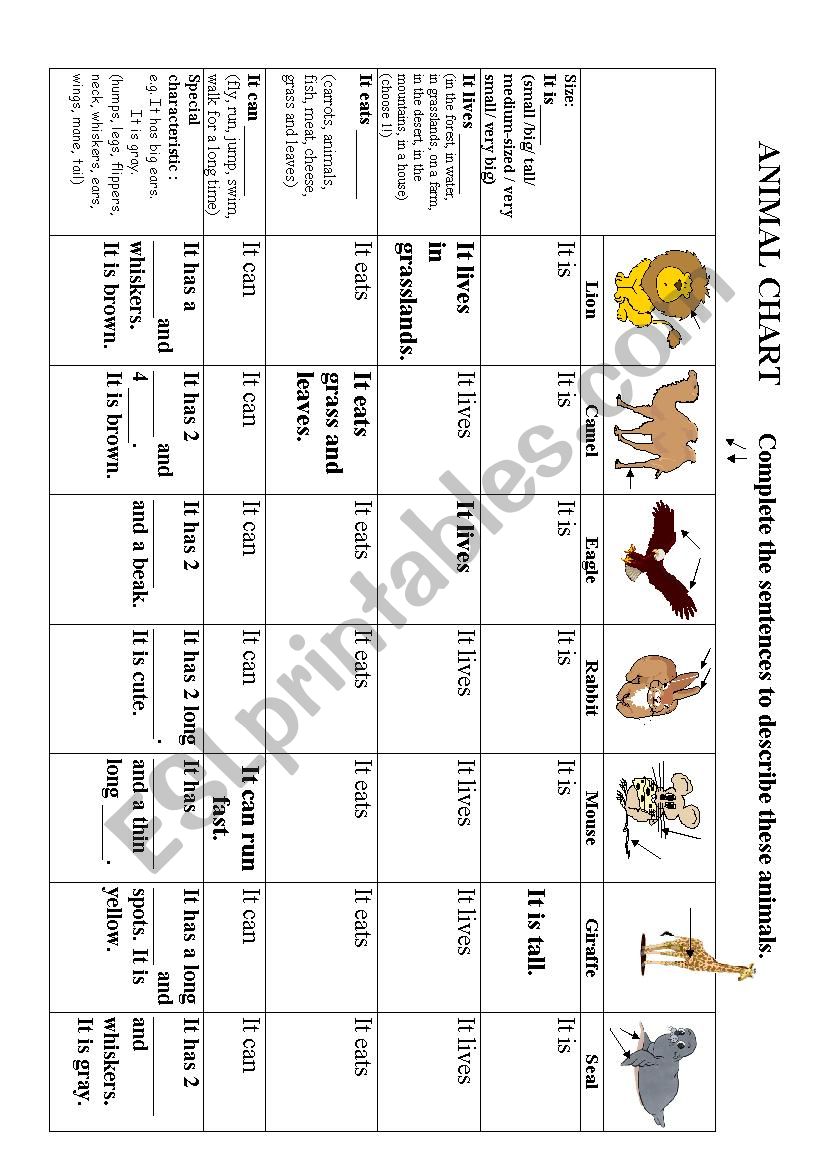 Animal chart worksheet