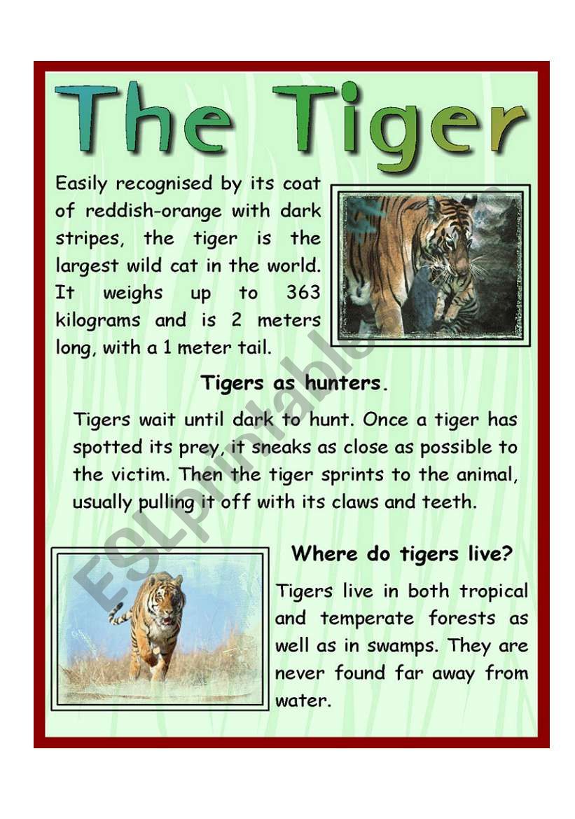 The Tiger worksheet