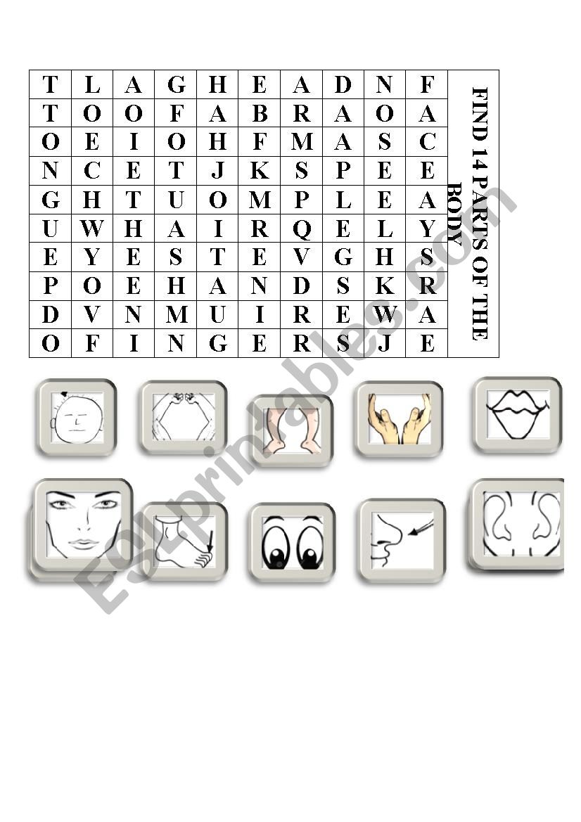 Parts of the body crossword worksheet
