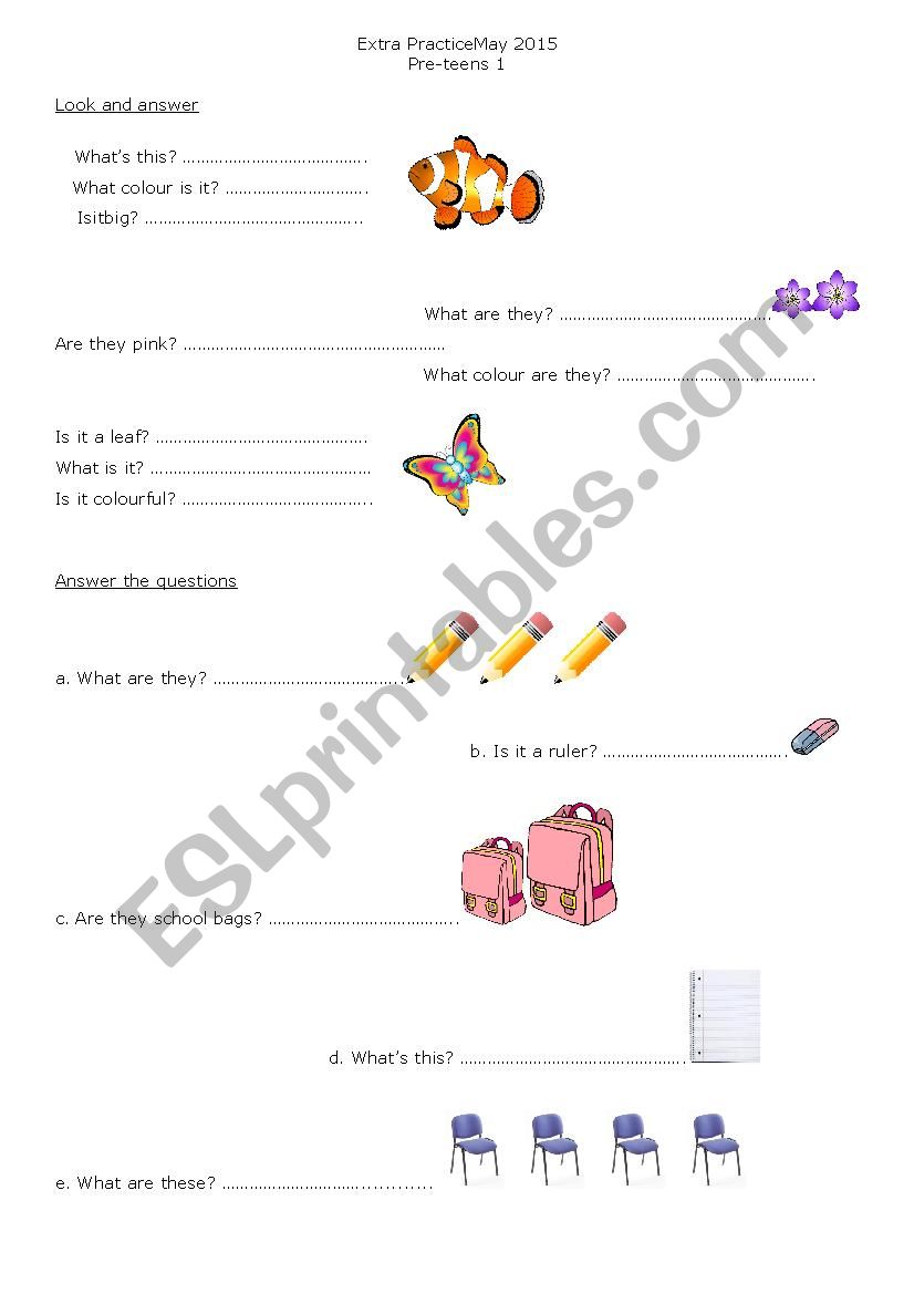 Extra Practice worksheet