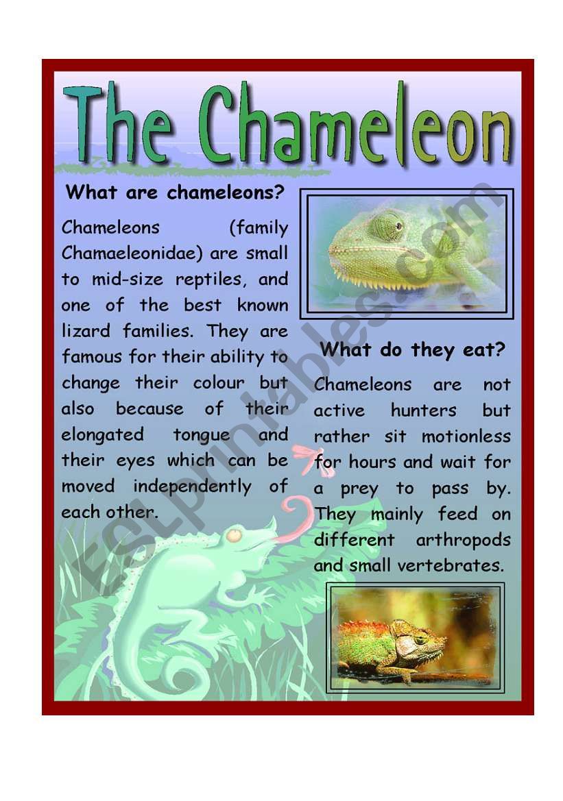 The Chameleon worksheet