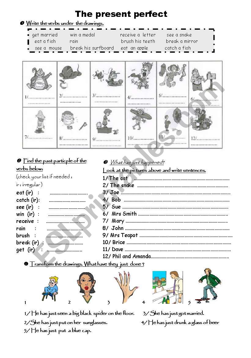 Present Perfect worksheet