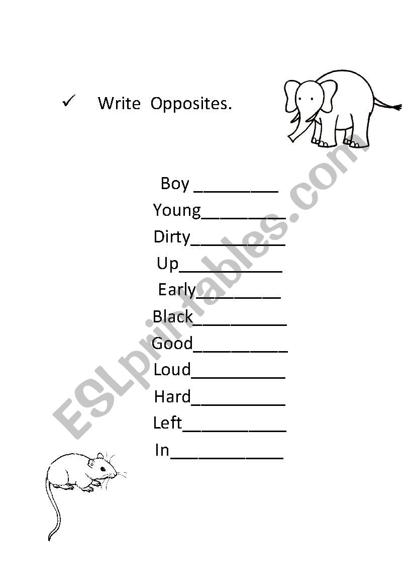 opposites worksheet