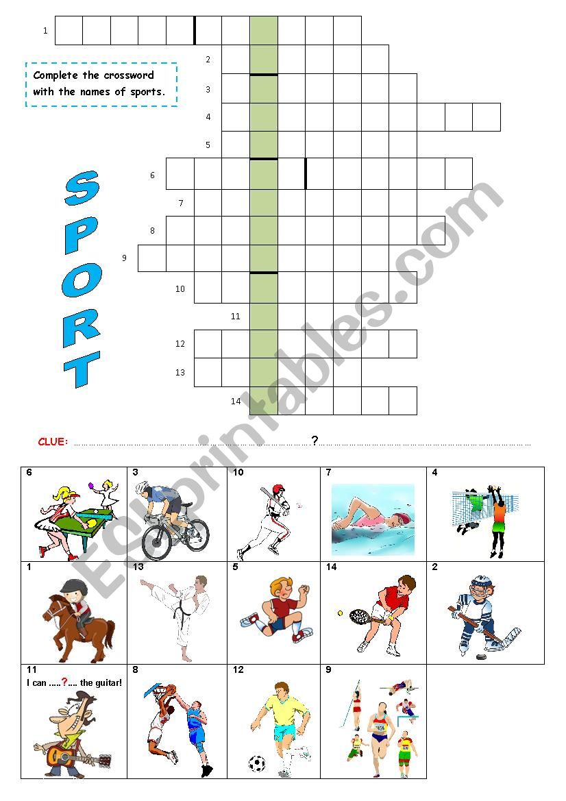 SPORTS CROSSWORD worksheet