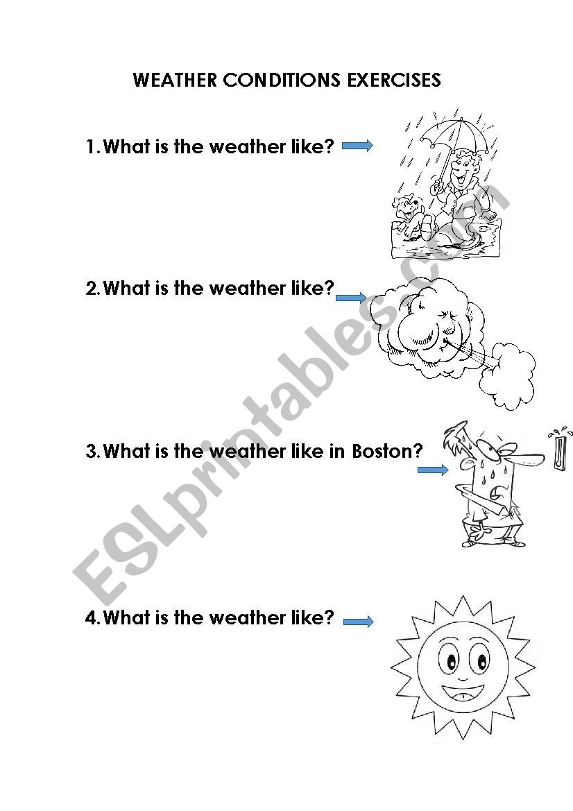 Weather Conditions Exercises worksheet