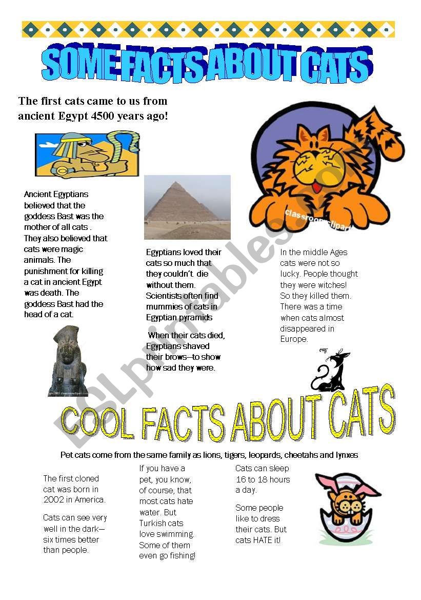 some facts about cats worksheet