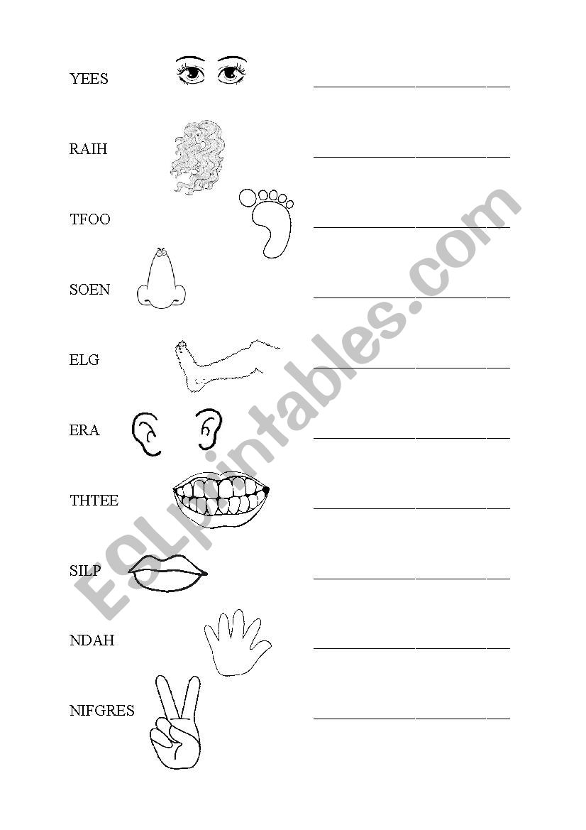 Body parts worksheet