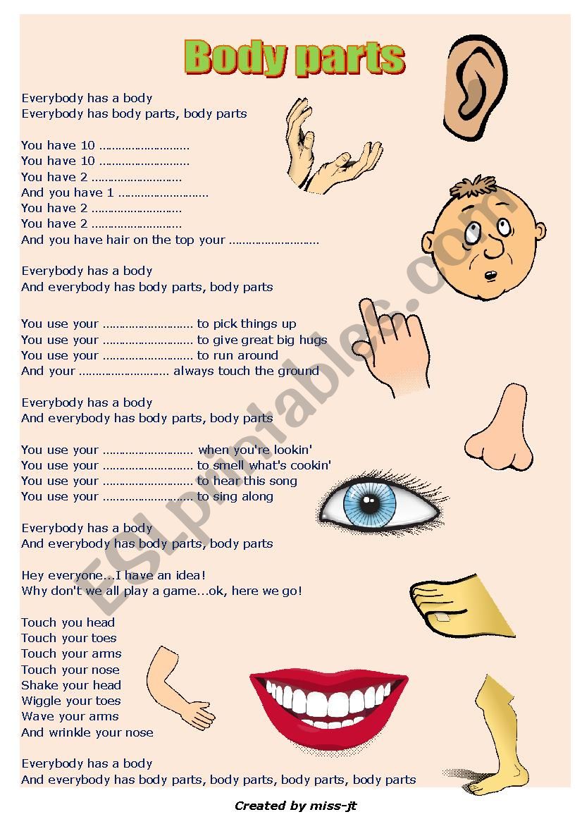 BODY PARTS song worksheet worksheet