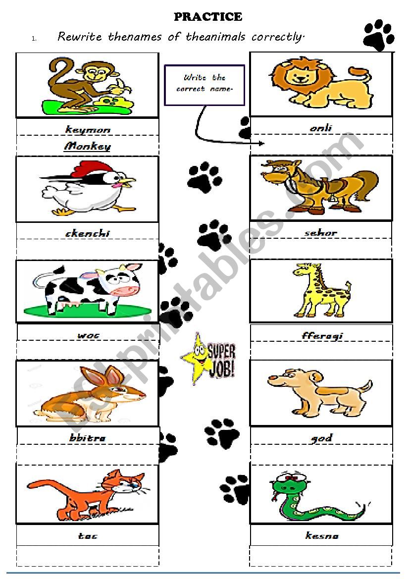 Animals worksheet