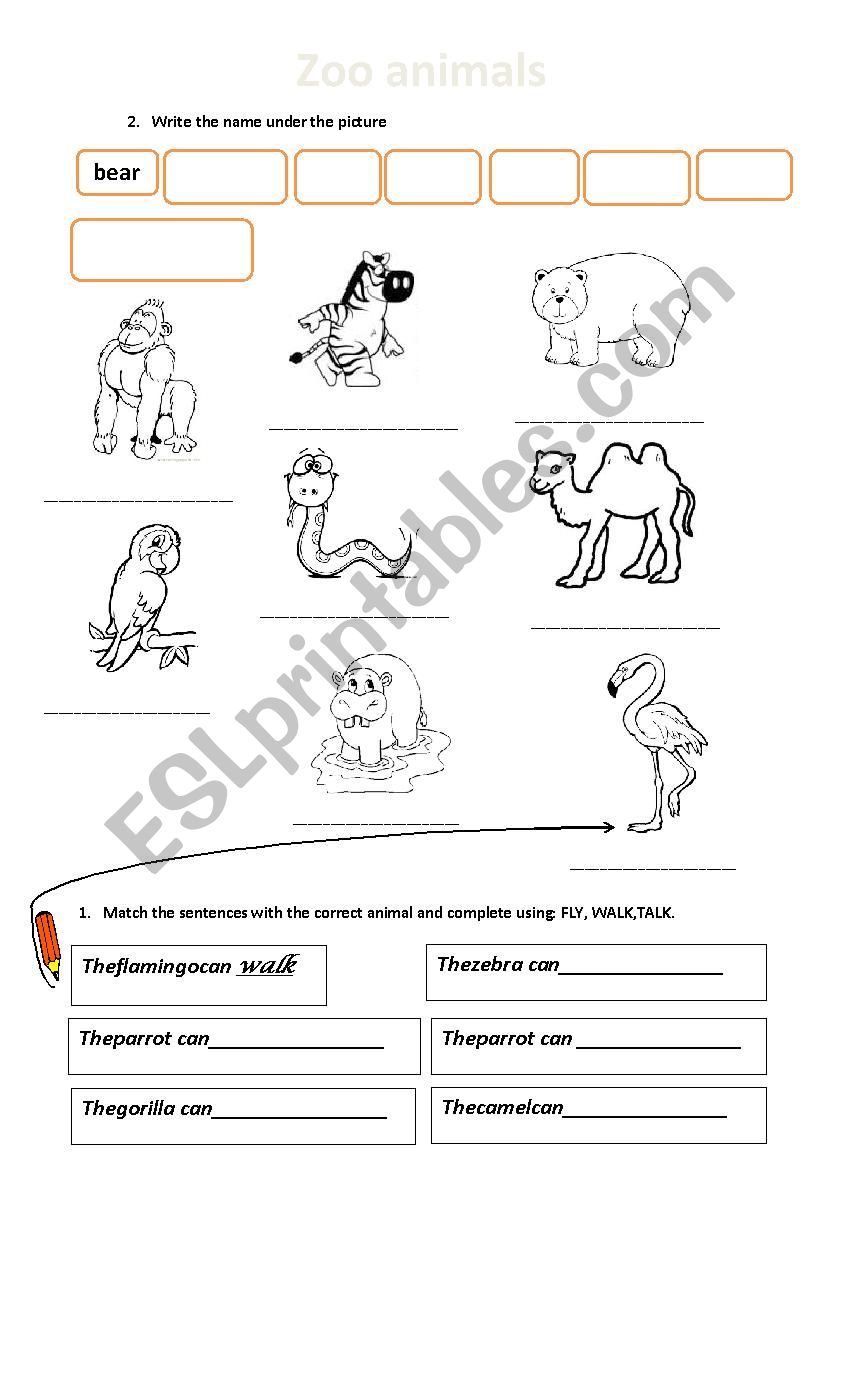 zoo animals worksheet