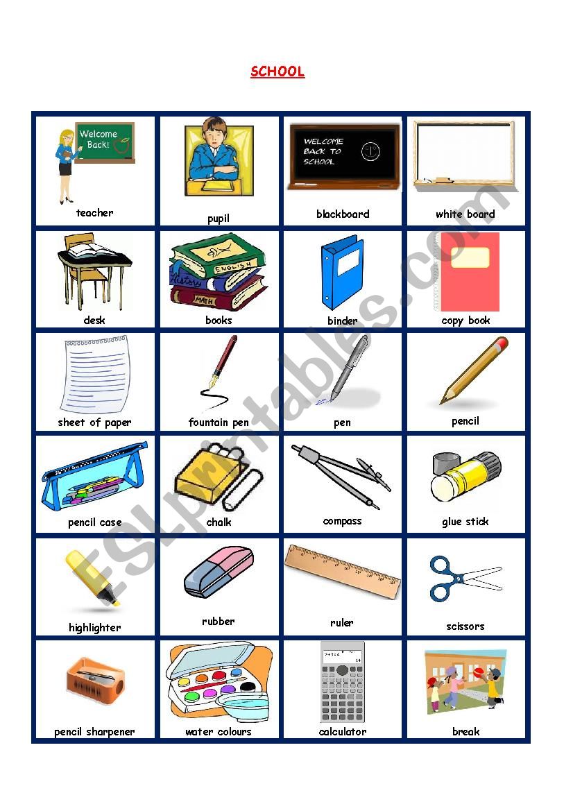 SCHOOL PICTIONARY worksheet