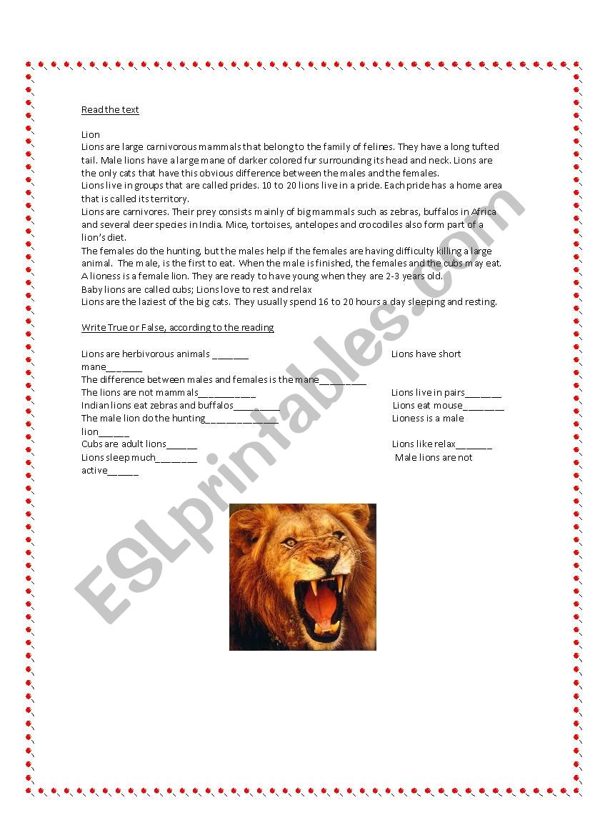 Lions worksheet