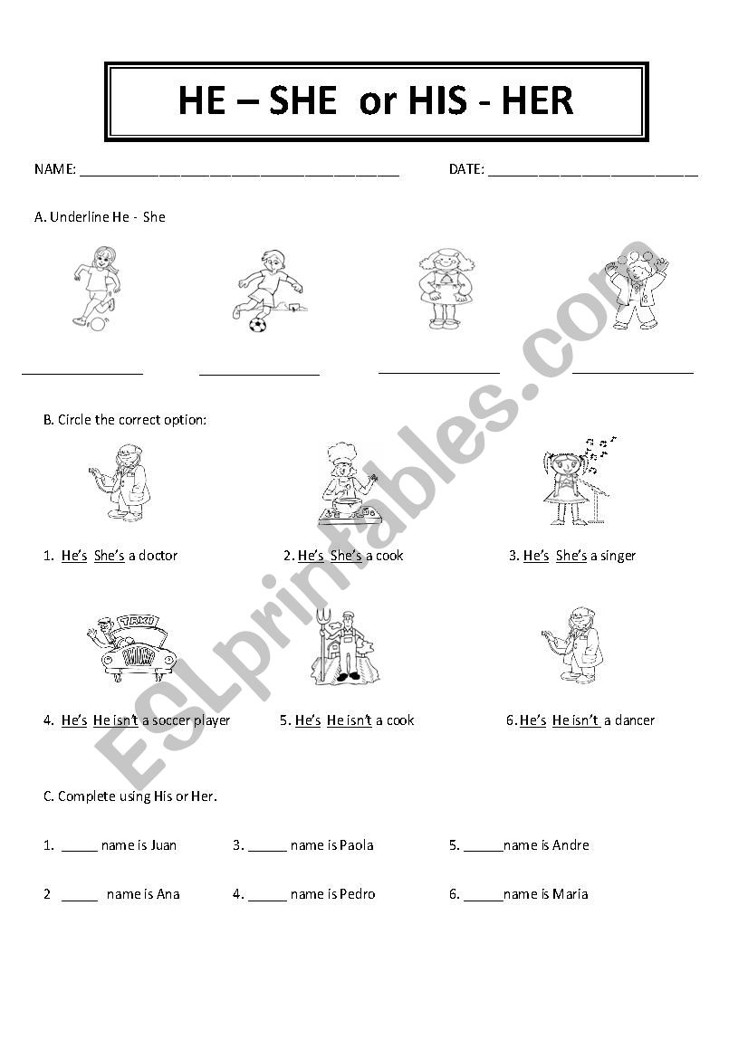 HE - SHE and HIS - HER worksheet