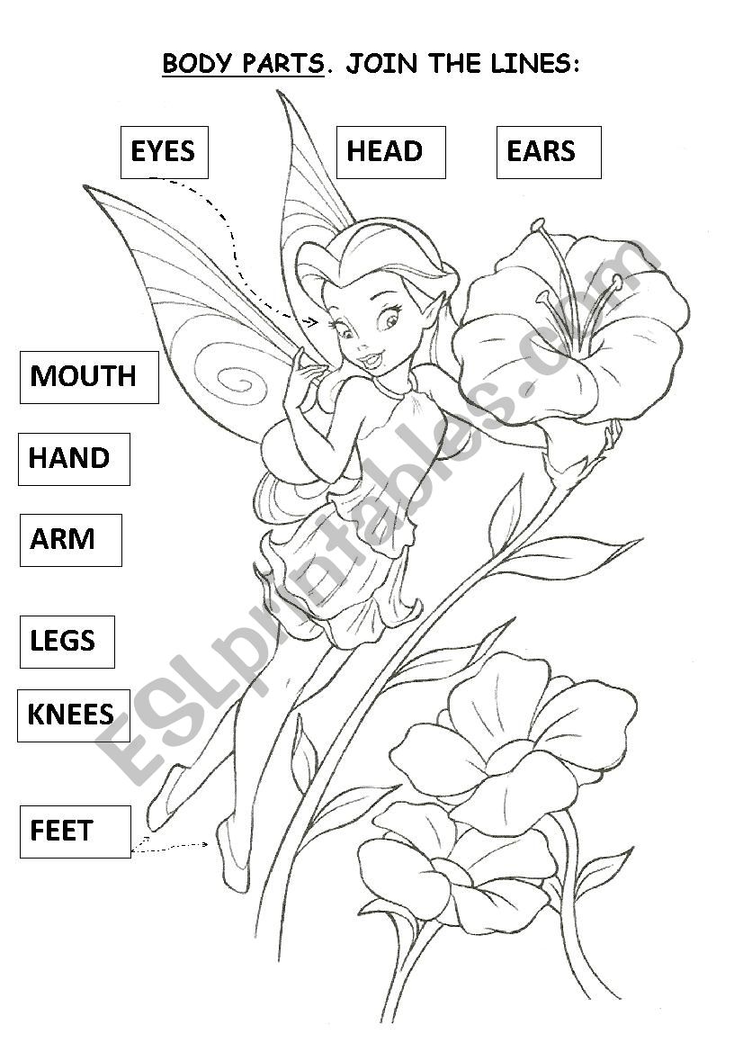 BODY PARTS worksheet