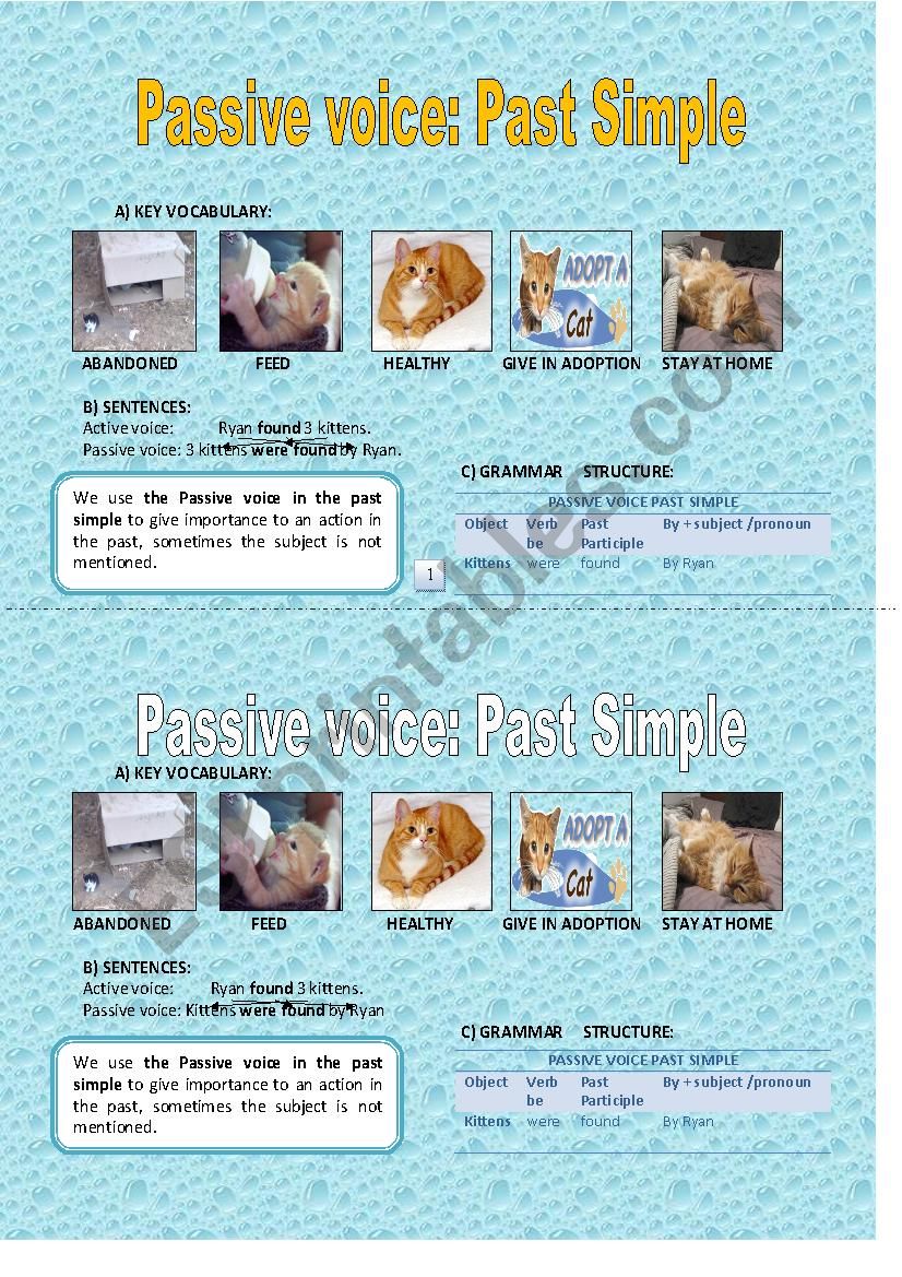 Passive Voice -Past Simple worksheet