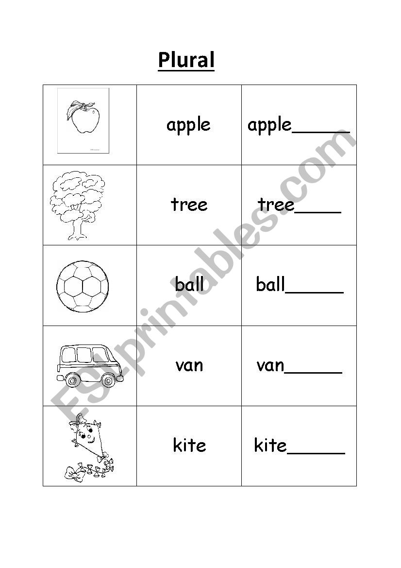 plural worksheet