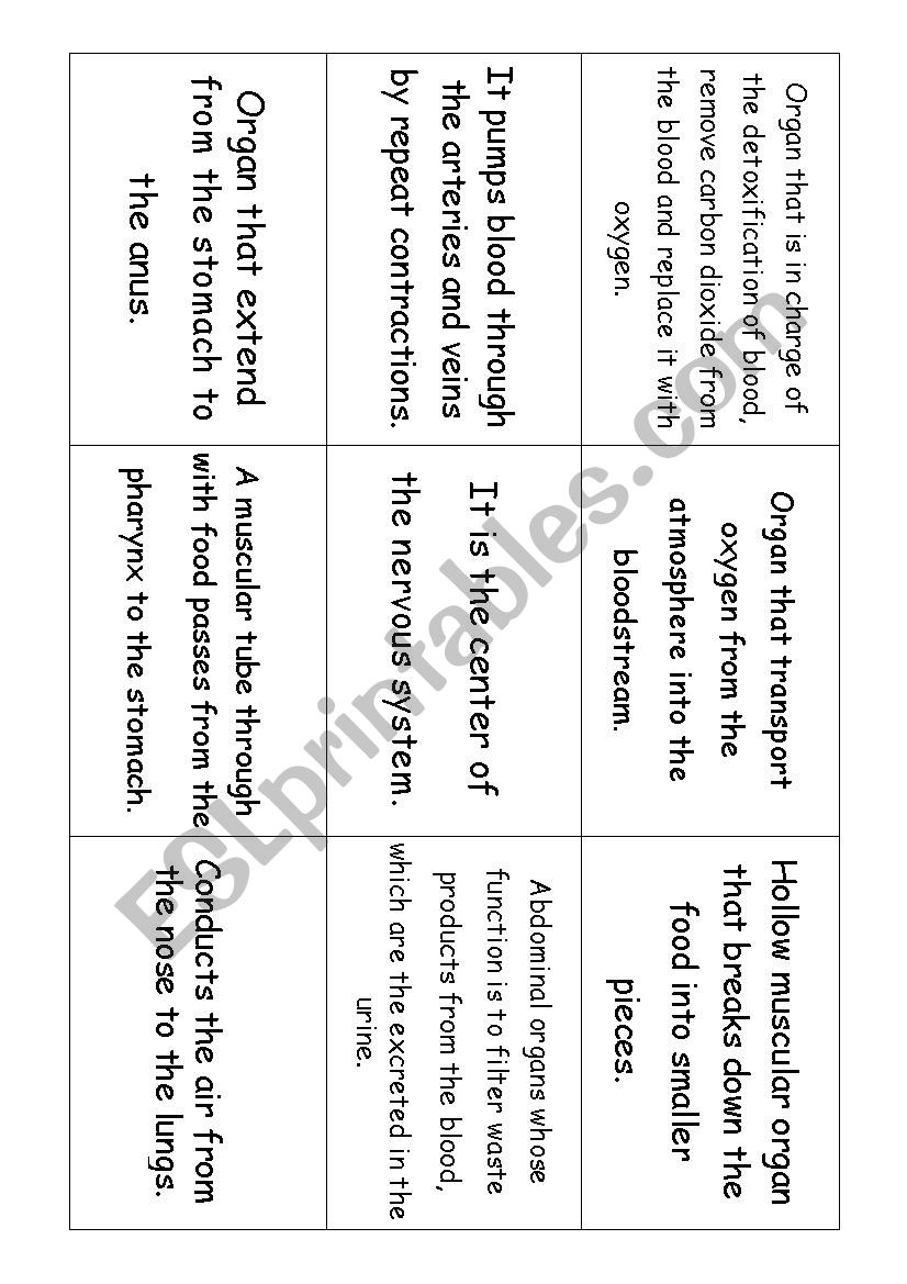 Body internal parts  worksheet