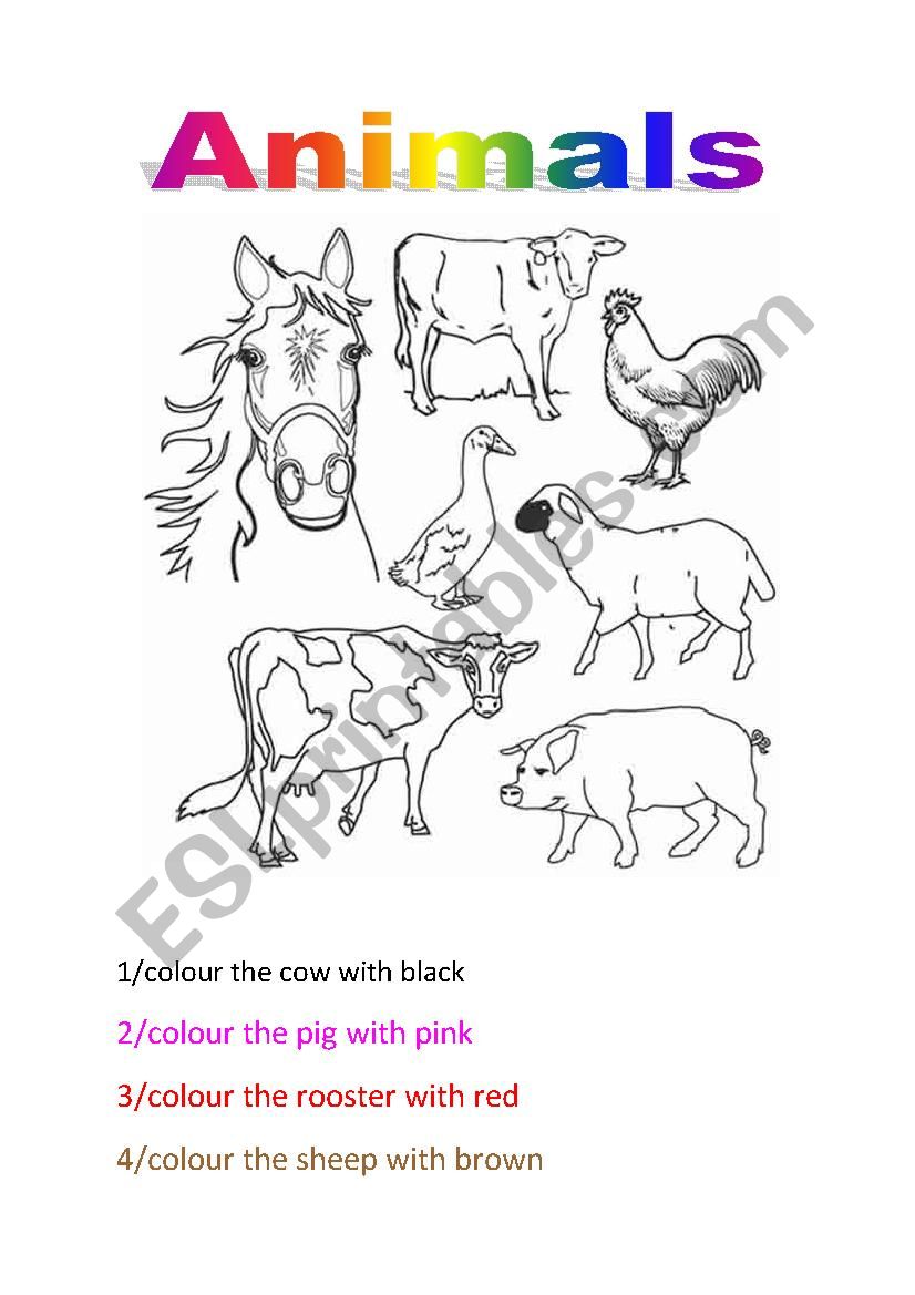 Animals and colours worksheet worksheet