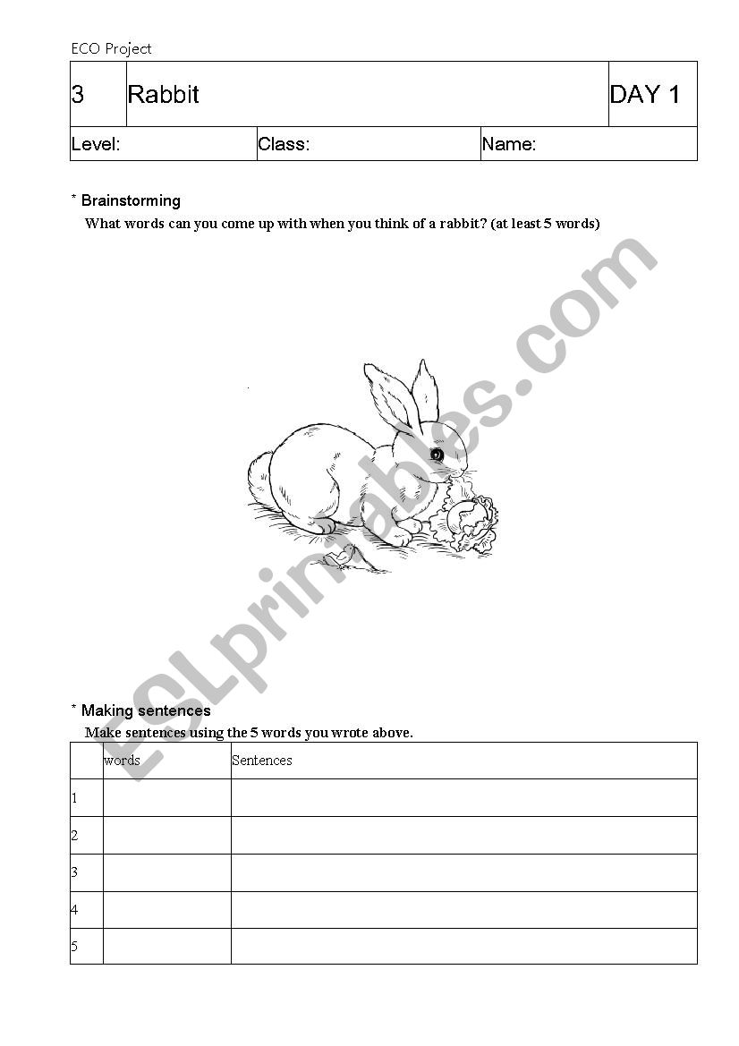 Rabbit coloring and sentence making