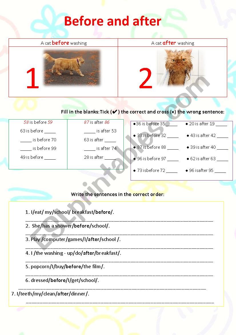 Before and after worksheet worksheet