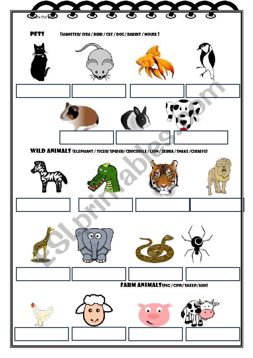 Pets / Wild animals / Farm animals - ESL worksheet by MissJa