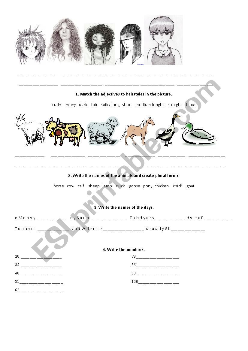 Time, numbers, hair, animals, have got, days of the week - ESL worksheet by  il_on_a