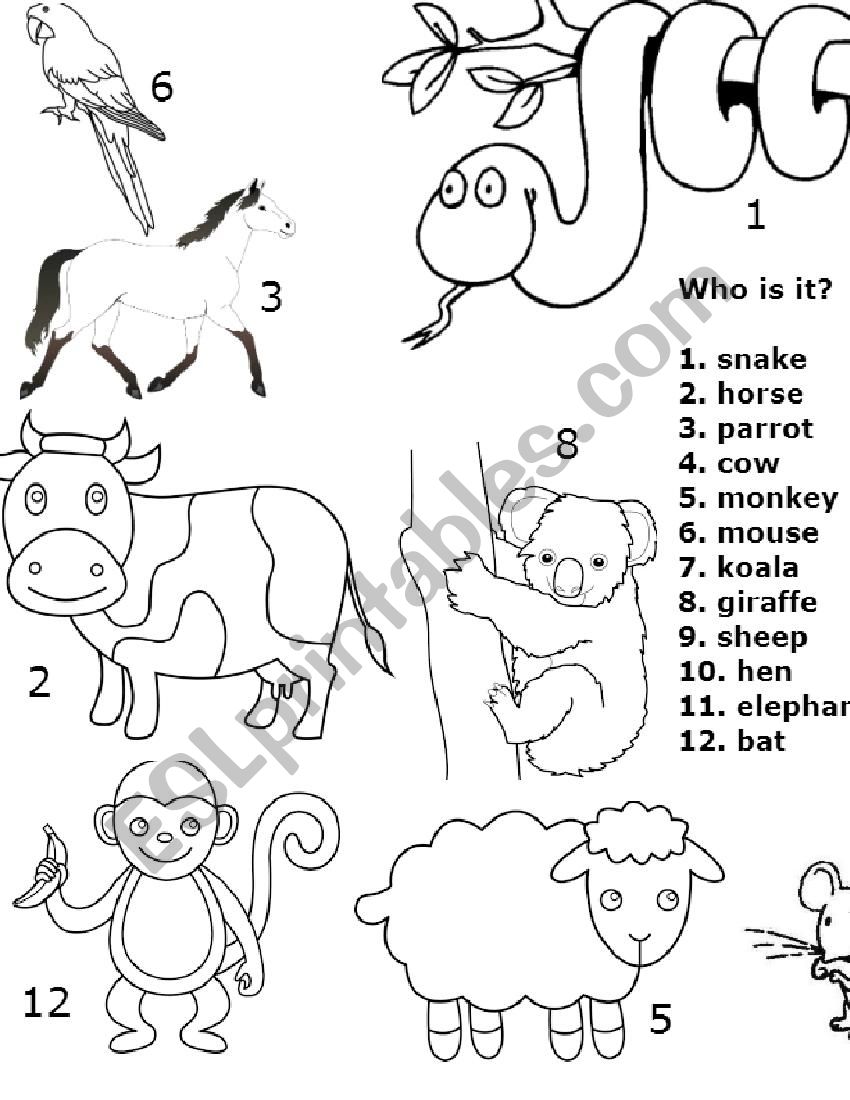 Animals worksheet