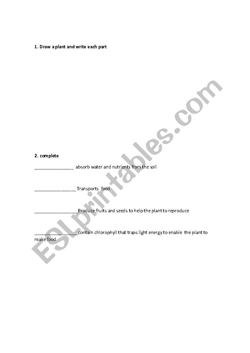 Parts of the plants worksheet