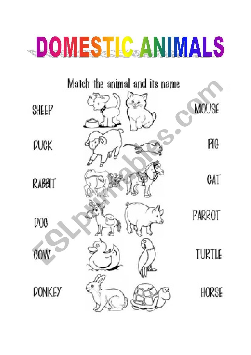 ANIMALS worksheet