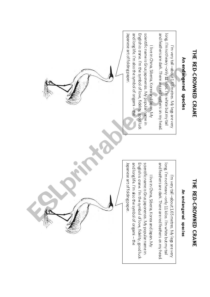 The Crane worksheet