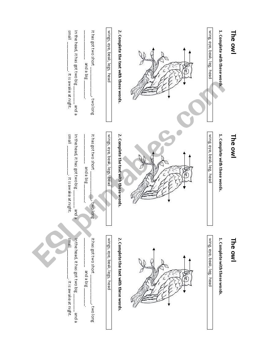 The Owl worksheet