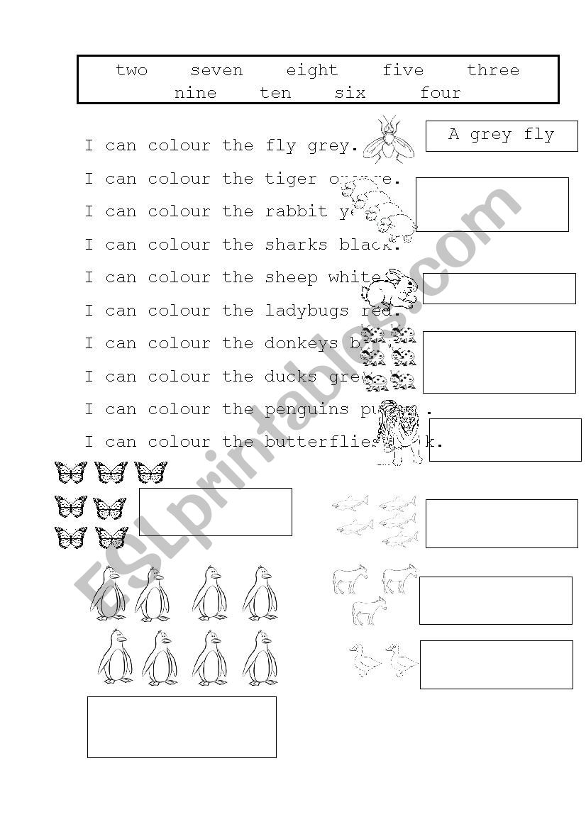 PLURAL OF SOME ANIMALS worksheet