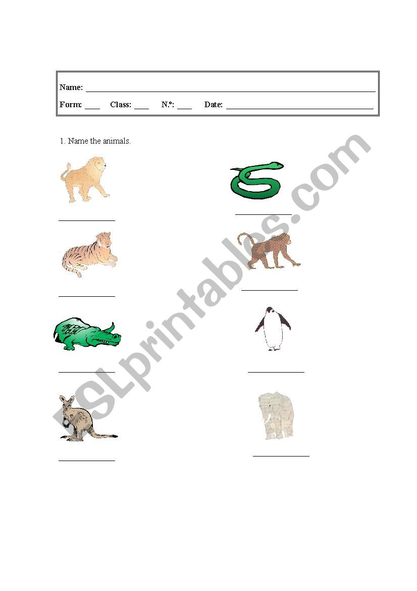 Animals worksheet