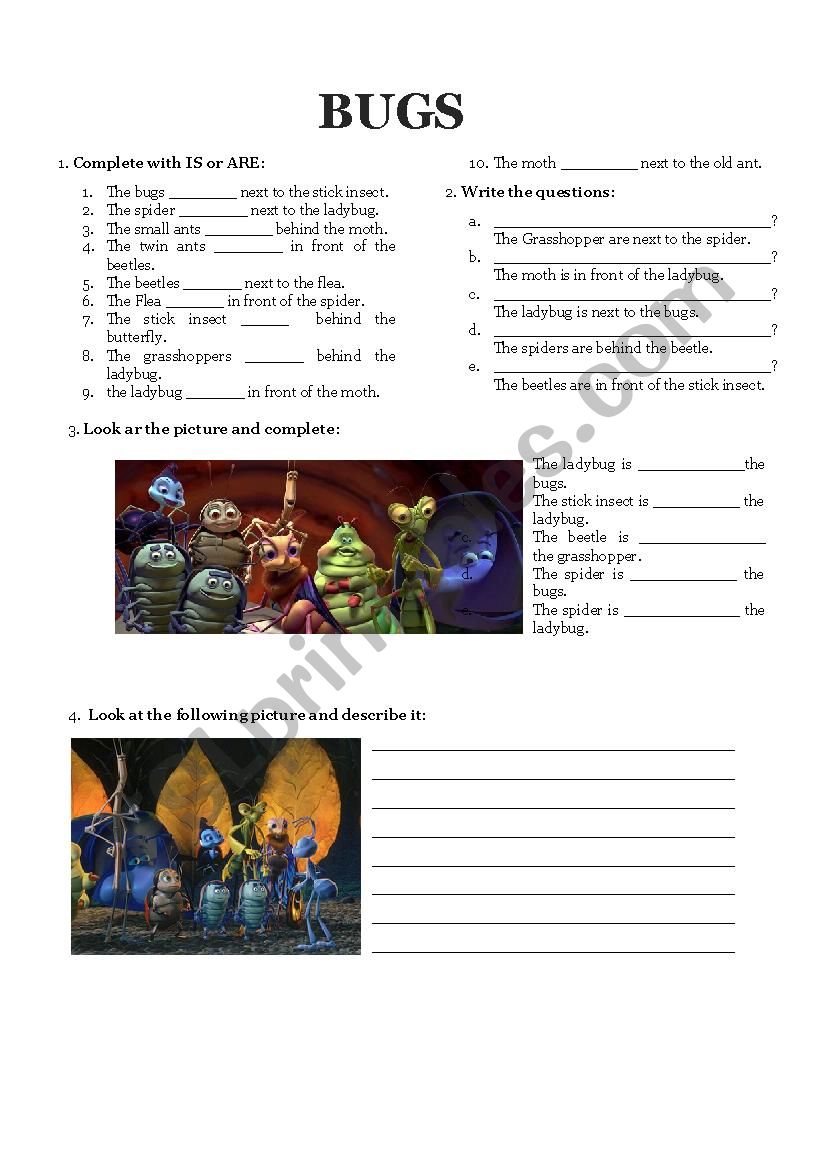 Bugs worksheet