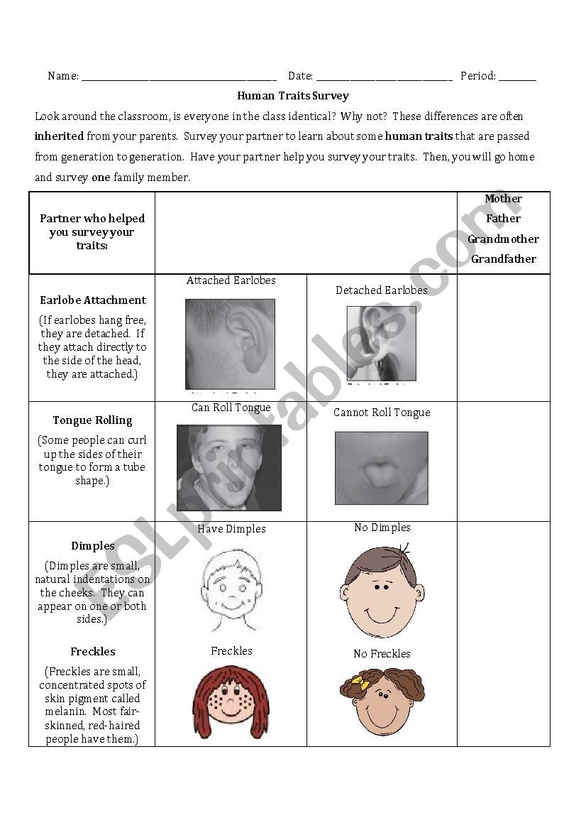 Trait Survey worksheet