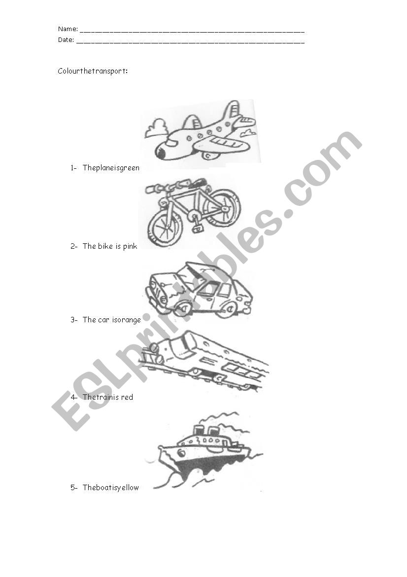 Transport worksheet