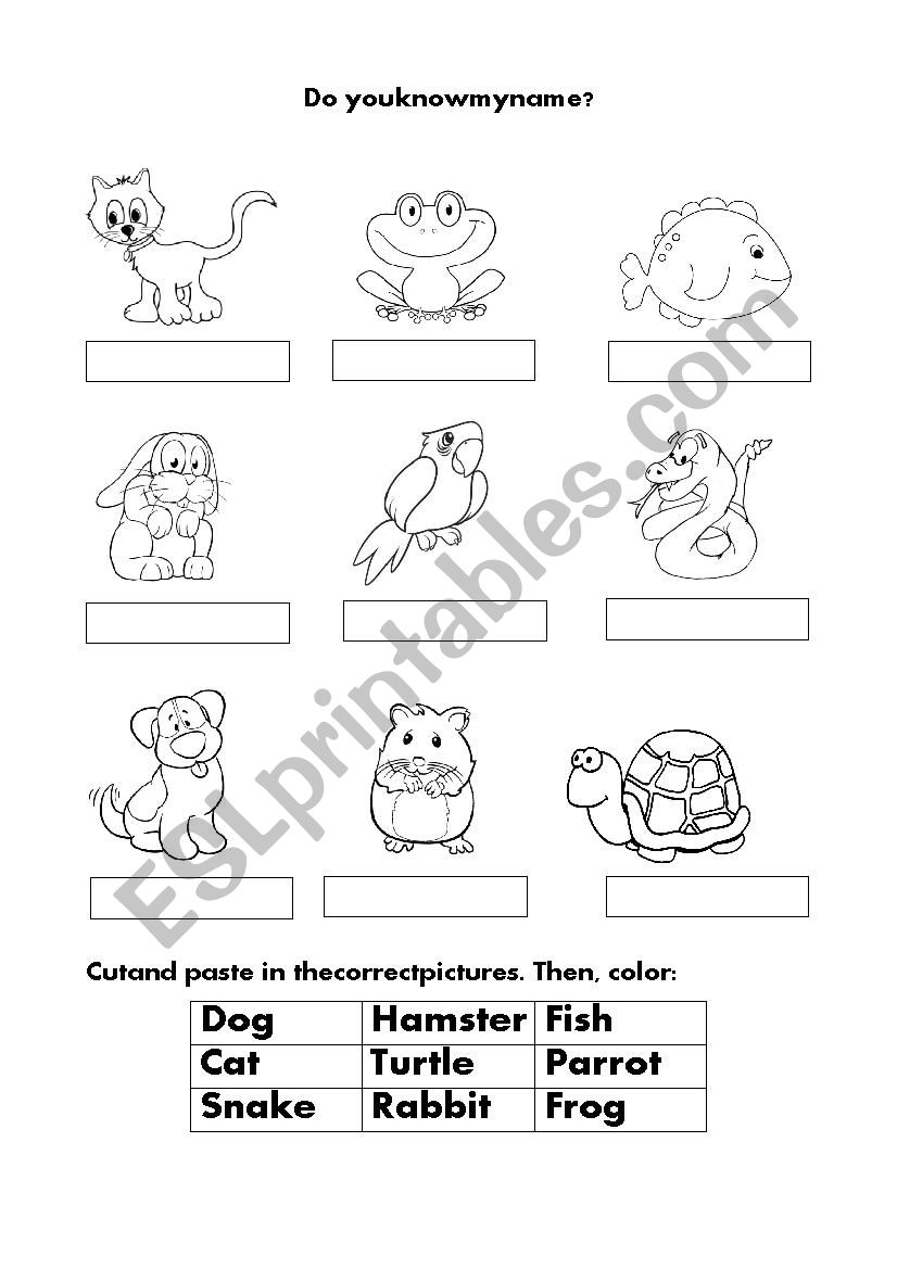 Animals Activity worksheet