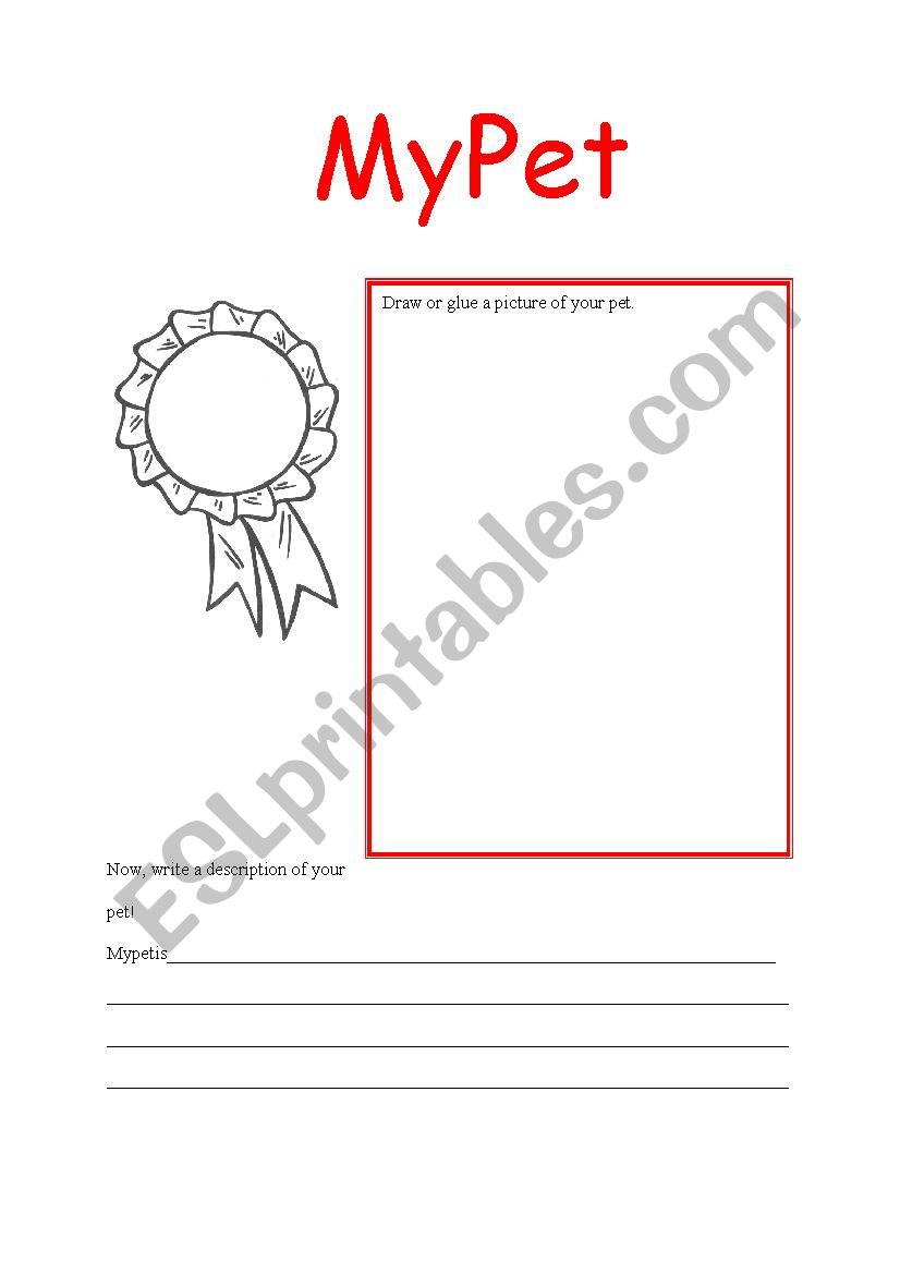 My pet worksheet