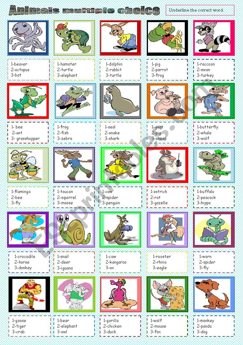 animals multiple choice task worksheet