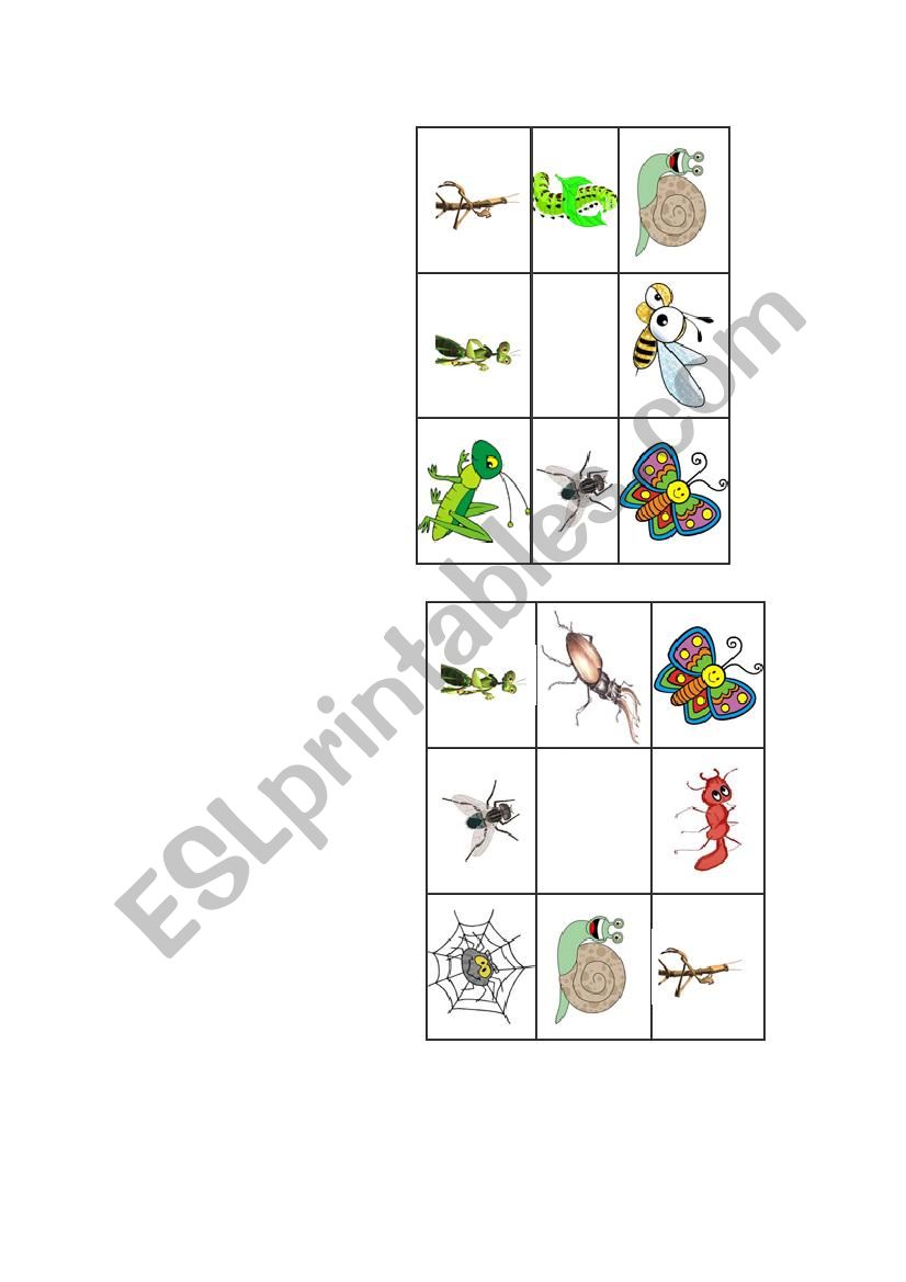 Insects bingo worksheet